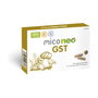 NEO Mico Neo GST 60 capsules gastro-résistantes