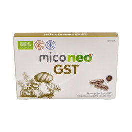NEO Mico Neo GST 60 capsules gastro-résistantes
