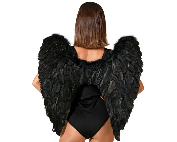 Ailes de Halloween Noires Grandes 65 x 65 cm avec Effet Plumes pour Déguisement Démon, Ange Tombé ou Créature - Accessoire de Fête Ailes de Halloween Noires Grandes 65 x 65 cm avec Effet Plumes pour Déguisement Démon, Ange Tombé ou Créature - Accessoire de Fête