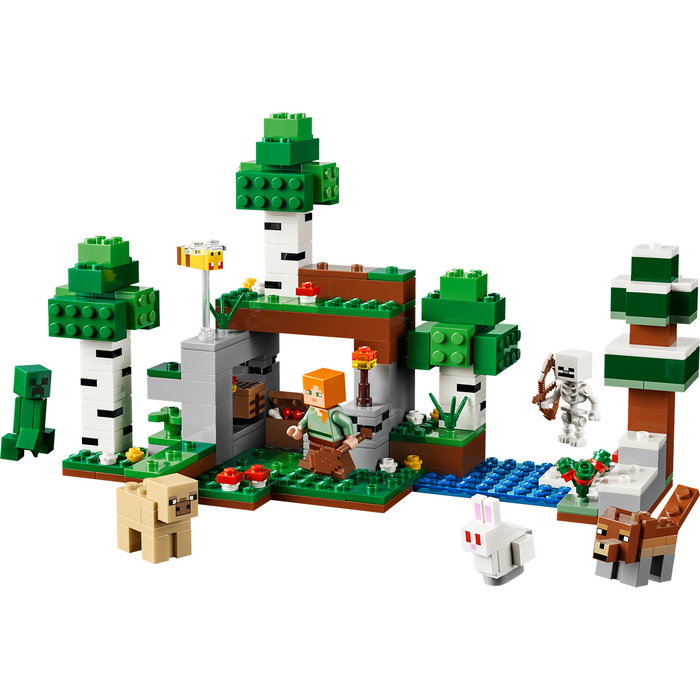 LEGO Minecraft L'Aventure de la Première Nuit 21593
