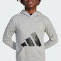 Sweat-shirt à capuche fille Adidas Big Logo French Terry Hd Gris clair S