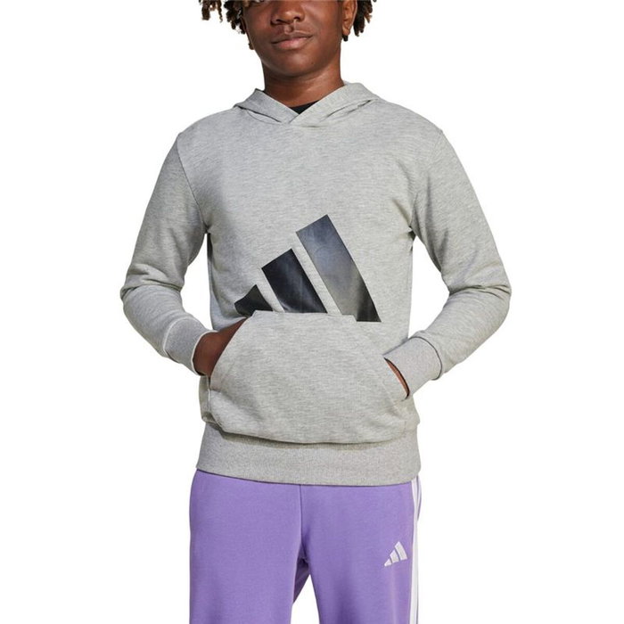Sweat-shirt à capuche fille Adidas Big Logo French Terry Hd Gris clair S
