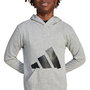 Sweat-shirt à capuche fille Adidas Big Logo French Terry Hd Gris clair S