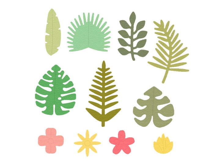 Misskuty Lot de 11 emporte-pièces fins ZAG Fleurs et Plantes botaniques tropicales Misskuty Lot de 11 emporte-pièces fins ZAG Fleurs et Plantes botaniques tropicales
