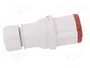 PAWBOL Connecteur d'alimentation AC triphasée 16A 400V AC (Mâle et Femelle)