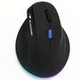 Bluestork ERGO LUMI PRO Souris ergonomique verticale Noir