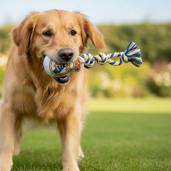Jouet pour chien Real Madrid C.F. Blanc 15 x 33 x 10 cm Jouet pour chien Real Madrid C.F. Blanc 15 x 33 x 10 cm
