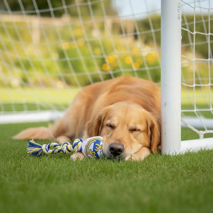Jouet pour chien Real Madrid C.F. Blanc 15 x 33 x 10 cm Jouet pour chien Real Madrid C.F. Blanc 15 x 33 x 10 cm