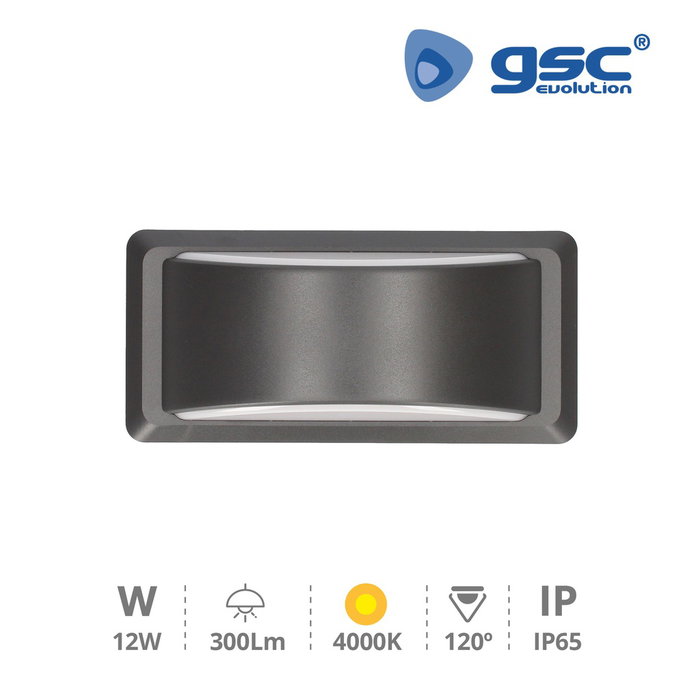 GSC Evolution Anthe Applique murale LED 11W 4000K Gris anthracite IP65