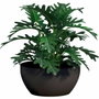 Garden ID Coupe Green Care Impact Noir-Anthracite Ø25 cm