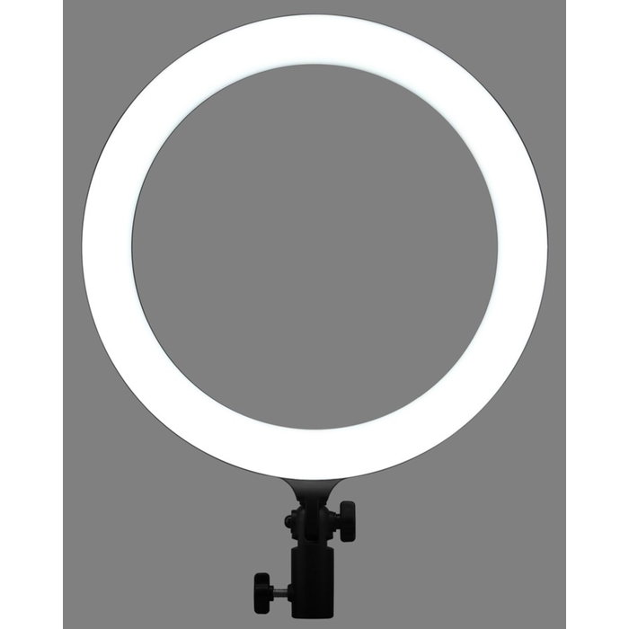 Godox LR120B LED Ring Light 12 pouces Godox LR120B LED Ring Light 12 pouces
