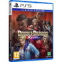 Microids Double Dragon : Revive - Édition Limitée PS5