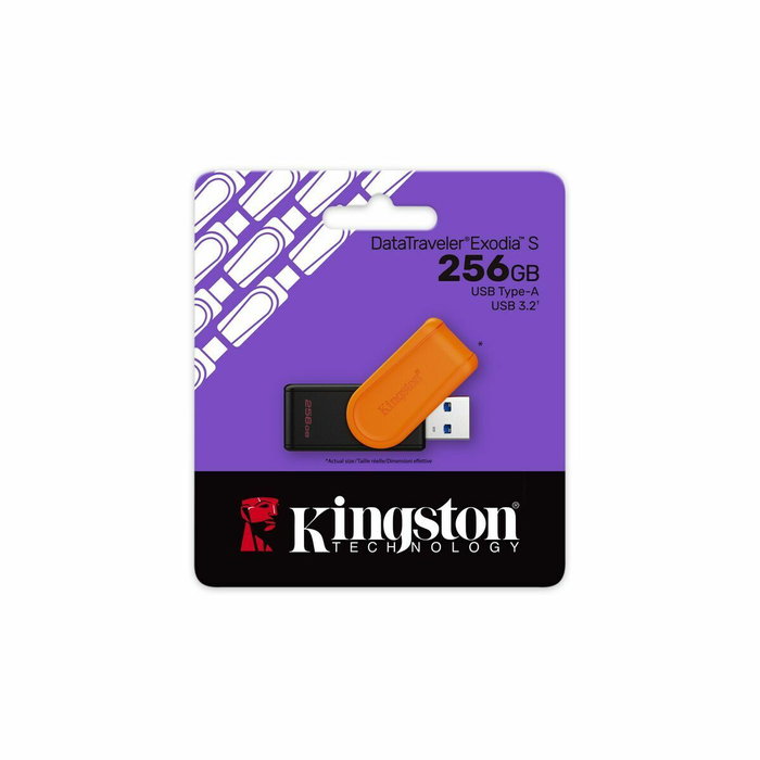 Carte Mémoire Micro SD avec Adaptateur Kingston DTXS/256GB 256 GB