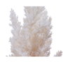 Everlands Pluma de pampa artificielle Ø 9 x 90 cm