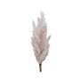 Everlands Pluma de pampa artificielle Ø 9 x 90 cm