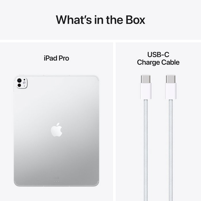 Apple iPad Pro M5 13 pouces Wi-Fi + Cellular 256 Go Argent