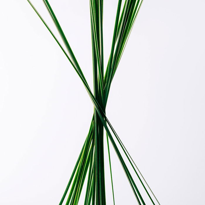 Loewe Coffret cadeau Esencia Eau de Toilette 100 ml 3 pièces