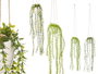 IBERGARDEN Lot de 24 pots suspendus verts