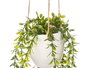 IBERGARDEN Lot de 24 pots suspendus verts
