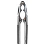 Secret Of Gourmet Casse-noix inox noir 16,5 x 4,5 x 1,2 cm