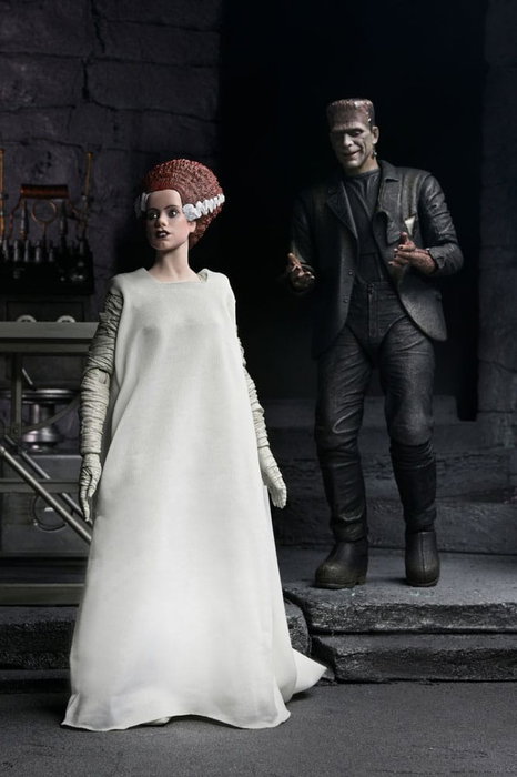 NECA Universal Monsters 2 pack figurines Bride of Frankenstein 90th Anniversary The Monster & His Mate 18 cm NECA Universal Monsters 2 pack figurines Bride of Frankenstein 90th Anniversary The Monster & His Mate 18 cm
