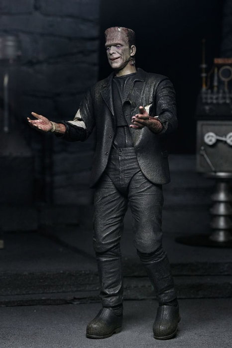 NECA Universal Monsters 2 pack figurines Bride of Frankenstein 90th Anniversary The Monster & His Mate 18 cm NECA Universal Monsters 2 pack figurines Bride of Frankenstein 90th Anniversary The Monster & His Mate 18 cm