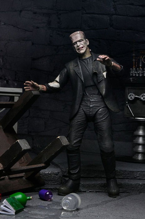 NECA Universal Monsters 2 pack figurines Bride of Frankenstein 90th Anniversary The Monster & His Mate 18 cm NECA Universal Monsters 2 pack figurines Bride of Frankenstein 90th Anniversary The Monster & His Mate 18 cm