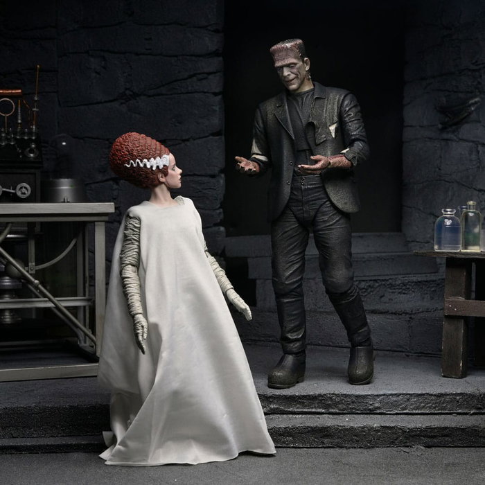 NECA Universal Monsters 2 pack figurines Bride of Frankenstein 90th Anniversary The Monster & His Mate 18 cm NECA Universal Monsters 2 pack figurines Bride of Frankenstein 90th Anniversary The Monster & His Mate 18 cm