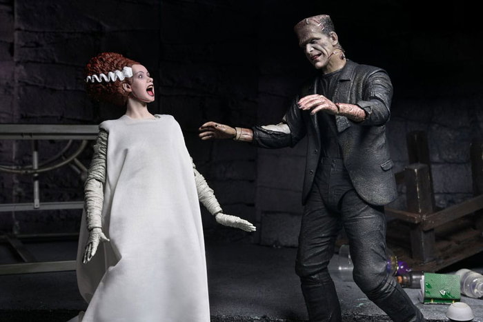 NECA Universal Monsters 2 pack figurines Bride of Frankenstein 90th Anniversary The Monster & His Mate 18 cm NECA Universal Monsters 2 pack figurines Bride of Frankenstein 90th Anniversary The Monster & His Mate 18 cm