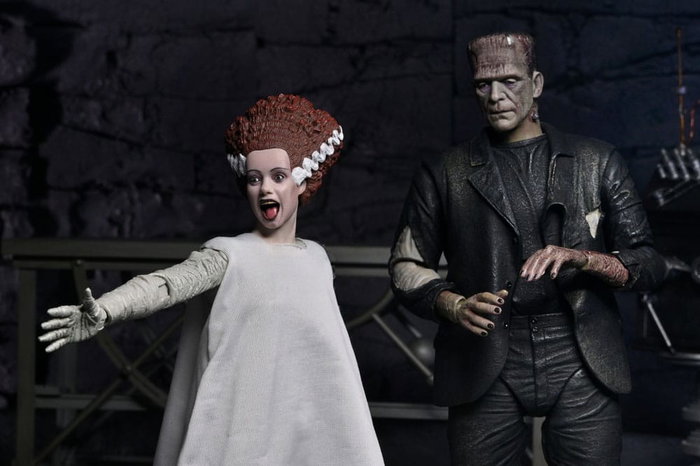 NECA Universal Monsters 2 pack figurines Bride of Frankenstein 90th Anniversary The Monster & His Mate 18 cm NECA Universal Monsters 2 pack figurines Bride of Frankenstein 90th Anniversary The Monster & His Mate 18 cm