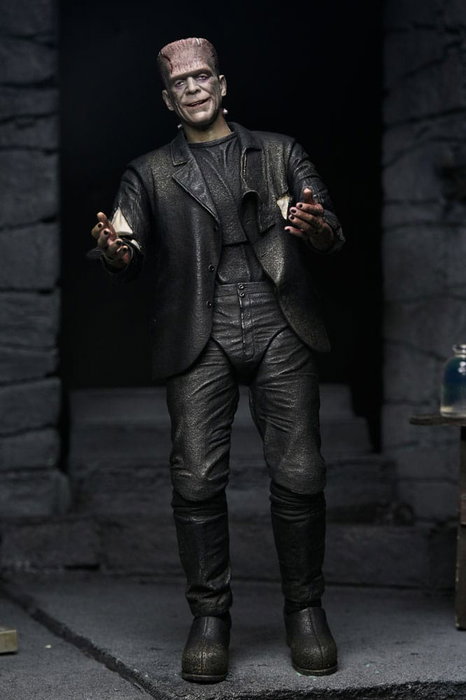 NECA Universal Monsters 2 pack figurines Bride of Frankenstein 90th Anniversary The Monster & His Mate 18 cm NECA Universal Monsters 2 pack figurines Bride of Frankenstein 90th Anniversary The Monster & His Mate 18 cm