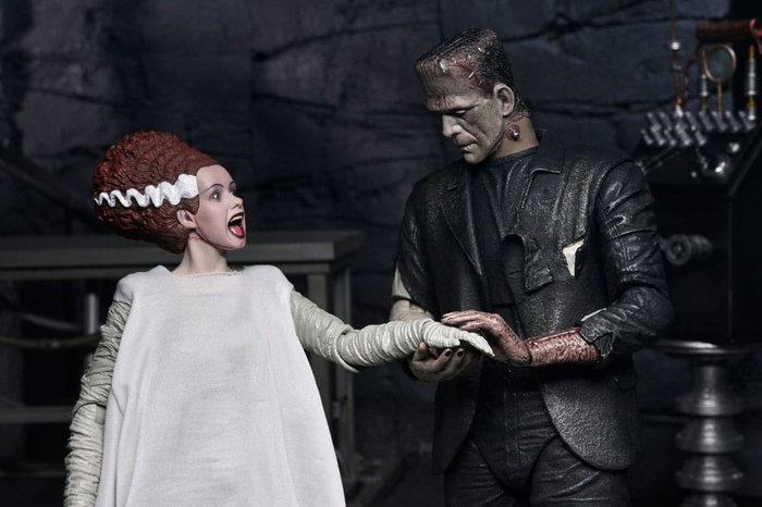 NECA Universal Monsters 2 pack figurines Bride of Frankenstein 90th Anniversary The Monster & His Mate 18 cm NECA Universal Monsters 2 pack figurines Bride of Frankenstein 90th Anniversary The Monster & His Mate 18 cm