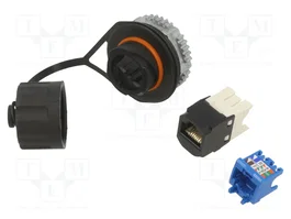PANDUIT Connecteur RJ45 Cat 6a non blindé IP67