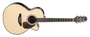 TAKAMINE RNV460C