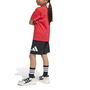 Ensemble de Sport pour Enfants Adidas JC9723 Rouge