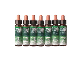 PLANTIS Remède Nº 2 Éco - Tensiones Personales 10 ml