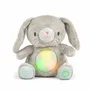 Ingenuity Doudou bébé lapin Sylvi, peluche apaisante avec vibrations, mélodies, lumières clignotantes et battement de cœur - Jouet d'éveil et cadeau de naissance