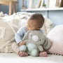 Ingenuity Doudou bébé lapin Sylvi, mélodies et vibrations