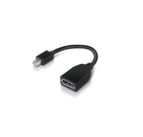 Lenovo 4X90L13971 Câble DisplayPort vers Mini DisplayPort Noir Lenovo 4X90L13971 Câble DisplayPort vers Mini DisplayPort Noir