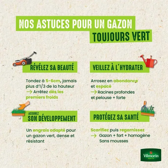 Vilmorin Gazon Terrain Sec - Mélange adapté aux sols pauvres et secs, résistant à la sécheresse, 3 kg