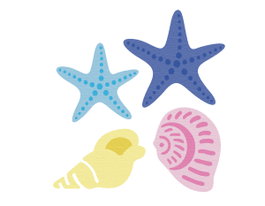 Misskuty Lot de 4 emporte-pièces fins ZAG Verano coquillages et étoiles