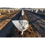 Biotop Capuchon de protection pour plantes ø 1,5 x 1,8 m