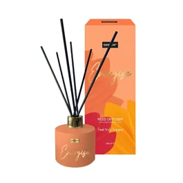 Sence Energise Diffuseur de parfum à roseaux 100 ml