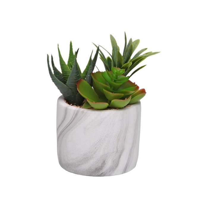 Plante décorative Versa Céramique Plastique Fusion Succulent 9 x 15 x 9 cm
