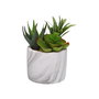 Plante décorative Versa Céramique Plastique Fusion Succulent 9 x 15 x 9 cm