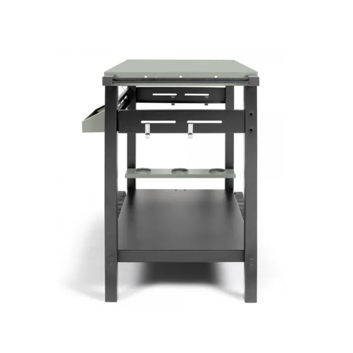 Livoo Dessert Pour Plancha GS167V avec Deux Plateaux, 81.5 cm de Hauteur, Acier Peint, Vert/Noir