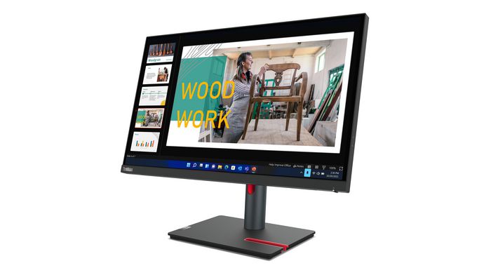 Lenovo P24q-30 Moniteur 23,8 pouces QHD IPS Raven Black