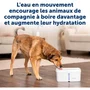 Petsafe VIVA Fontaine à Eau pour Chien et Chat 4,1 L - Distribution d'Eau Fraîche Filtée - Réservoir Large - Blanc