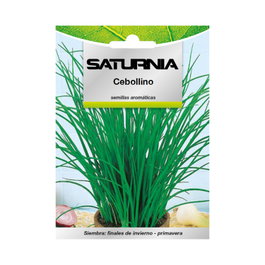 SATURNIA Semences de Ciboulette Aromatique (1 g)