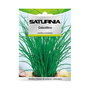 SATURNIA Semences de Ciboulette Aromatique (1 g)